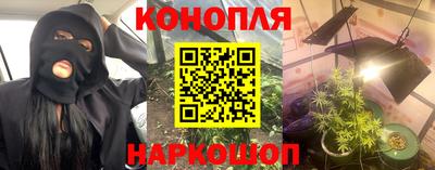 сатива Лесосибирск