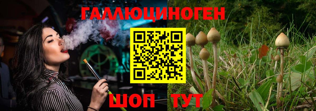 Ирбит  что такое   Вход с VPN  Псилоцибиновые грибы мицелий 