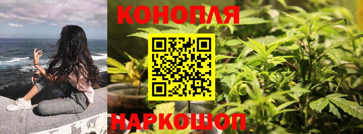 Шишки марихуана ГИДРОПОН  Бошки Шишки SATIVA & INDICA  Каннабис семена  Ирбит  Вход с VPN 